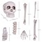 FUN LITTLE TOYS Halloween Bag of Skeleton Bones and Skull, 18 PCs Bag of Bones for Outdoor Halloween Decorations